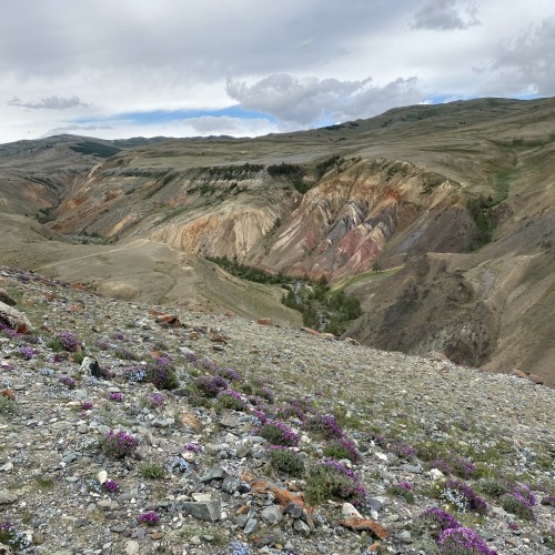 Топовые и необычные места Алтая в мини-группе: Чуйский тракт, озеро Джангыскёль и лёгкий треккинг