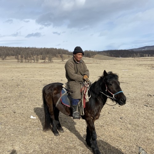 В окружении Саян: тур по Аршану и Монголии