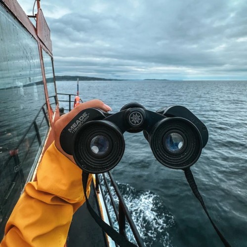 За атмосферой Арктики: тур из Мурманска в Териберку с дегустацией и прогулками по главным местам