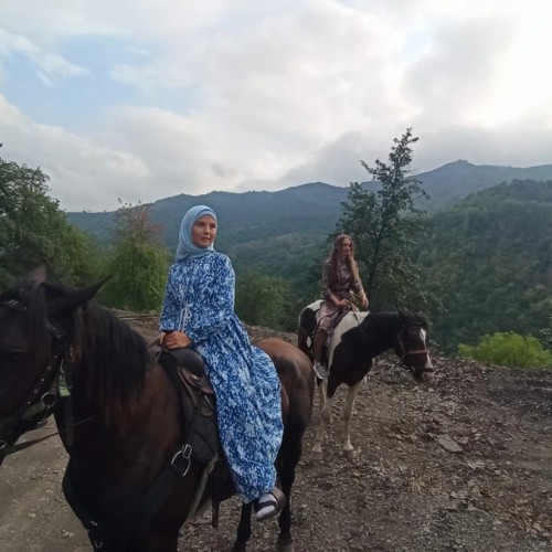 Два дня в Чечне: из Грозного в мир гор, лесов, башен и лошадей