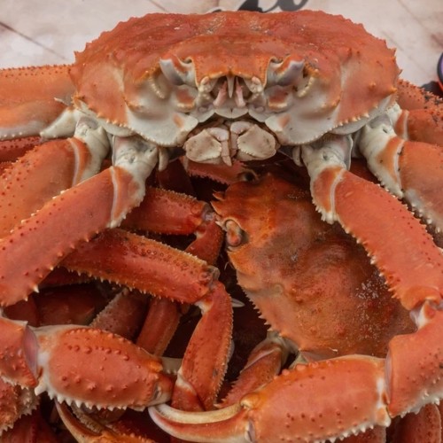 Камчатка для любви: романтичный видео- и фотовыезд для пар