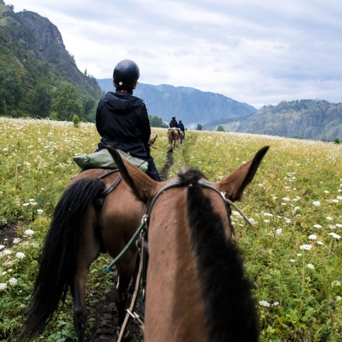 Неделя на Алтае: Телецкое озеро, Катунь и Чуйский тракт в мини-группе