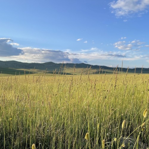 От архитектуры Иркутска до пейзажей Ольхона