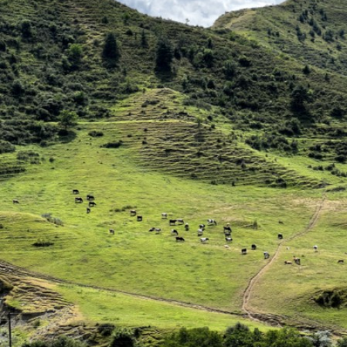Нетривиальный Дагестан только для вашей компании: горные аулы вдали от популярных маршрутов