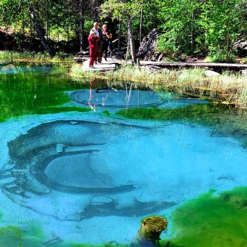 Насыщенный треккинг-тур по Алтаю с размещением на турбазах: более 25 локаций