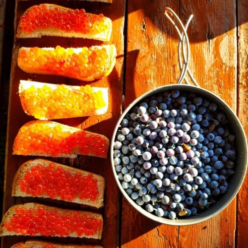 Вулканы, гейзеры и шум океана: активное путешествие по природным чудесам Камчатки