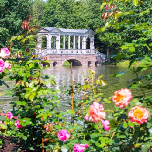 Экскурсия в Царское Село и Екатерининский дворец (билеты включены)