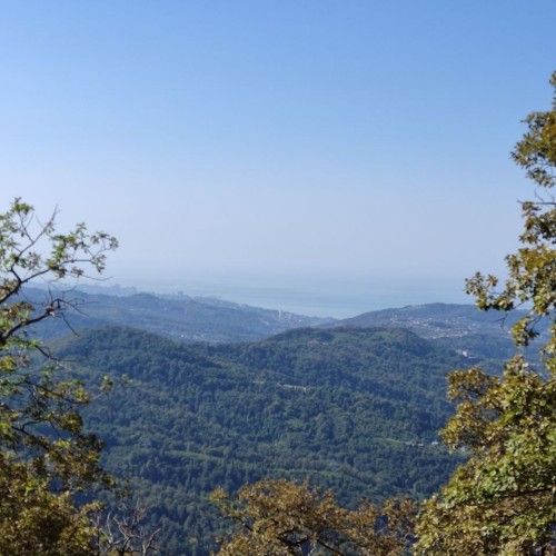 Приключения на лошадях в Сочи для новичков и опытных: по ущельям, долинам и лесам