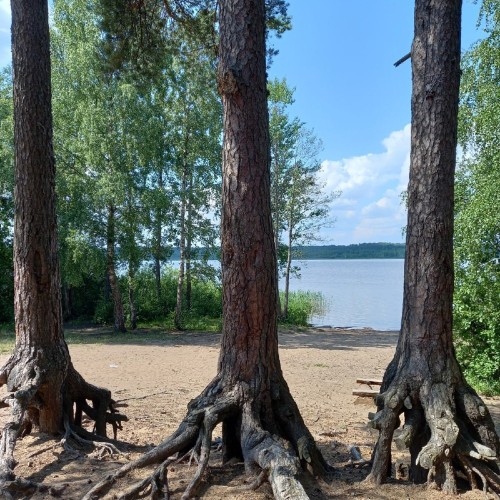 Сестрорецк — русская Финляндия (в мини-группе)