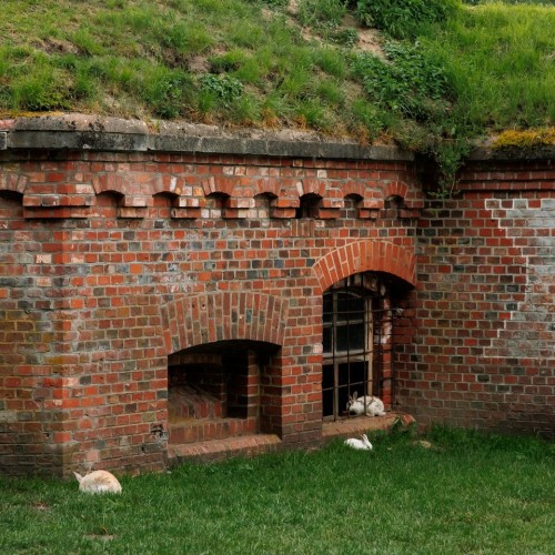 7 городов Калининградской области и природа Балтики: автобусный тур с опциональными экскурсиями