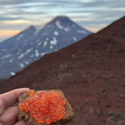 Вулканы, киты, океан: исследуем Камчатку налегке
