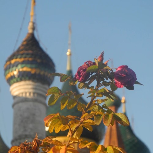Добро пожаловать в Ярославль!