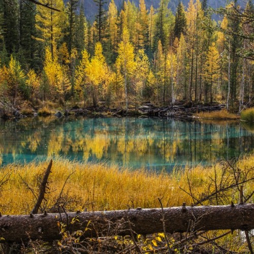 Алтайский отпуск: Телецкое озеро, живописные долины и другие знаковые места