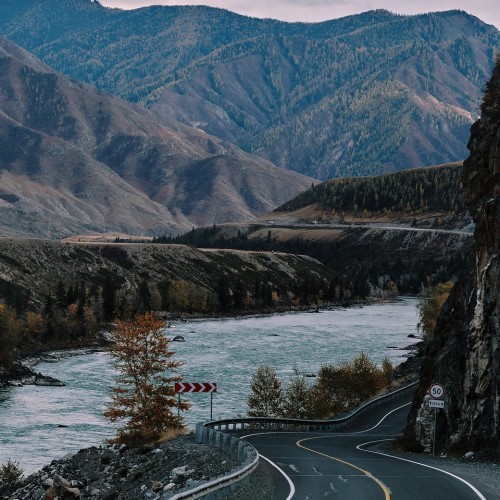 Автотур в мини-группе по знаковым локациям Алтая в период цветения маральника