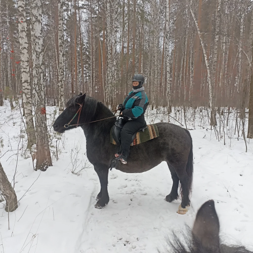 Конная прогулка по лесу близ Екатеринбурга