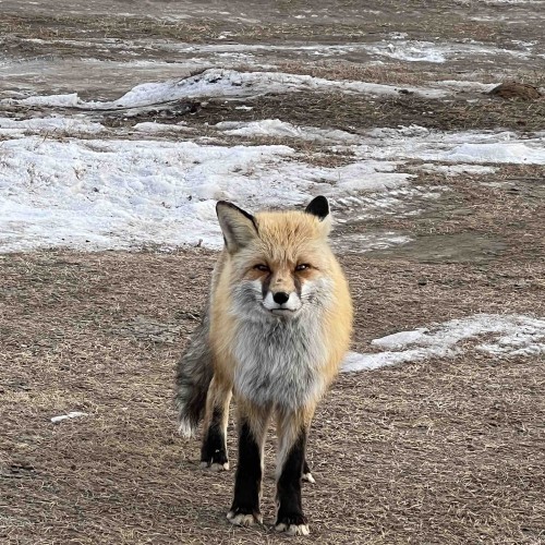 Зимняя рыбалка на льду Байкала своей компанией