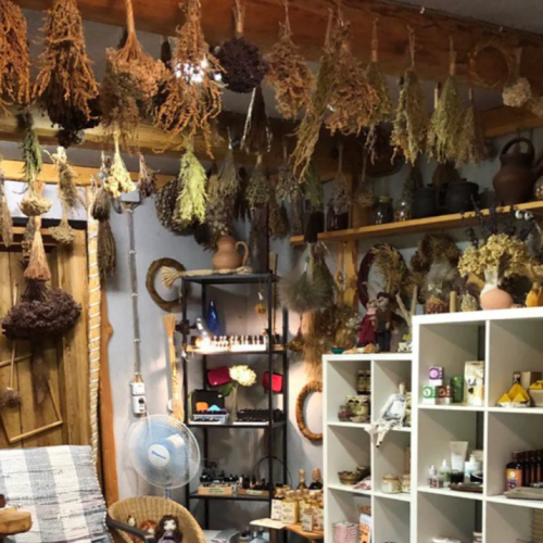 Возрождающая сила Алтая: ретрит-тур в женской компании