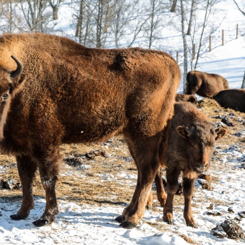 Главное на Алтае: автопутешествие в мини-группе