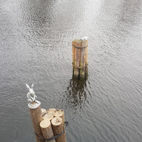 Петропавловская крепость: цитадель, собор, тюрьма (билеты включены)