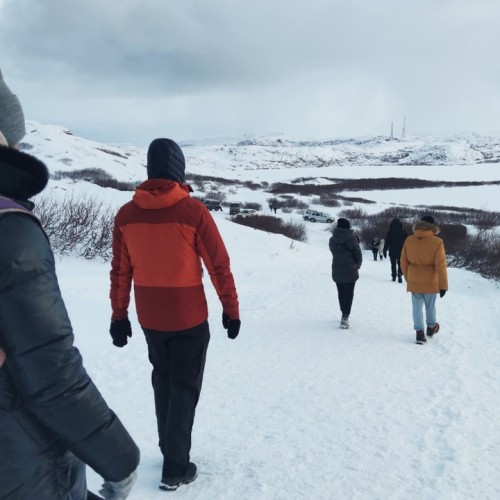 Северный экспресс-тур в мини-группе: Мурманск, Териберка и дополнительные активности на выбор