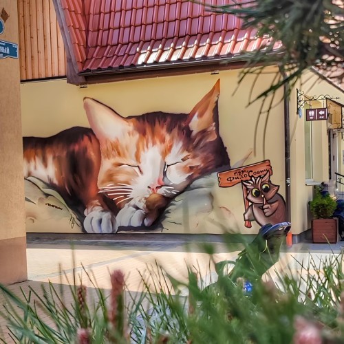 Индивидуальная прогулка выходного дня: Калининград, Зеленоградск, Куршская коса