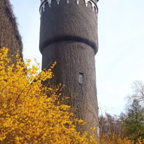 Встречай, янтарный край: индивидуальное путешествие по городам Калининградской области