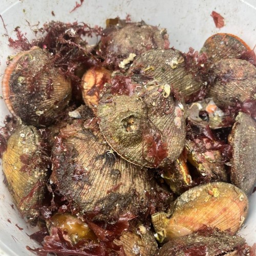 В Мурманск и Териберку из Санкт-Петербурга: Карелия, Кольский полуостров и города по пути