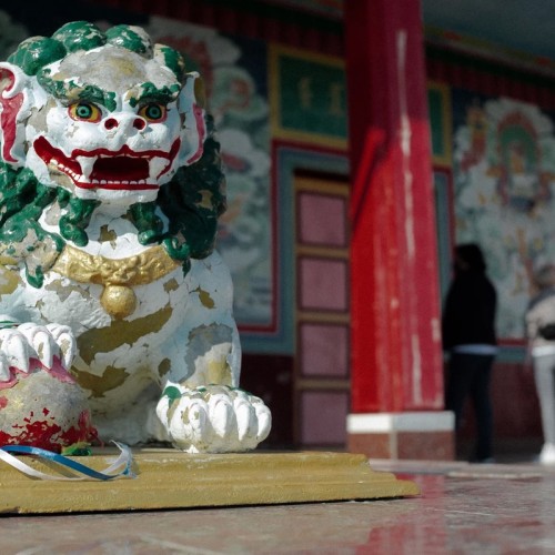 На выходные в Калмыкию: Элиста и цветущие степи