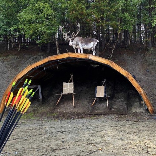 Очарование Севера: этнодеревня, Териберка и столица Арктики в мини-группе