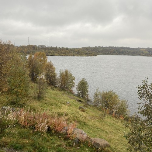 Мурманск: обзорная гастроэкскурсия с ароматом кофе