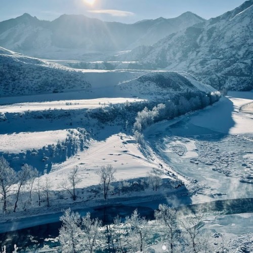 Зимний Алтай: снежные горы, незамерзающие озёра и тысяча лебедей