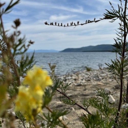 На Байкал с комфортом и «всё включено»: этнопрограмма, национальная кухня и прогулка на корабле