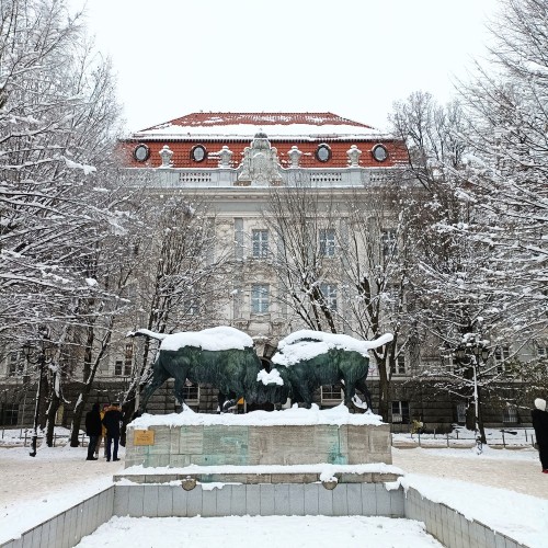 Квест-экскурсия «Щелкунчик в Хуфене»