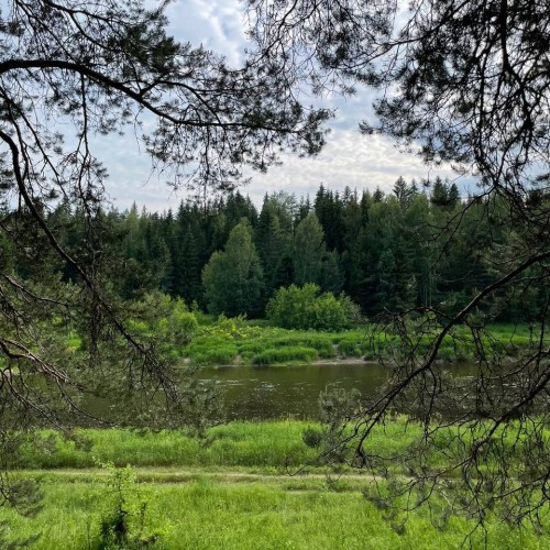 Детокс на Тверце: сплав на байдарках с посещением Торжка и «Василёво»