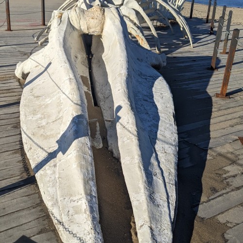 Путешествие в Арктику только для вас: Мурманск, Териберка, северное сияние и локации на ваш выбор