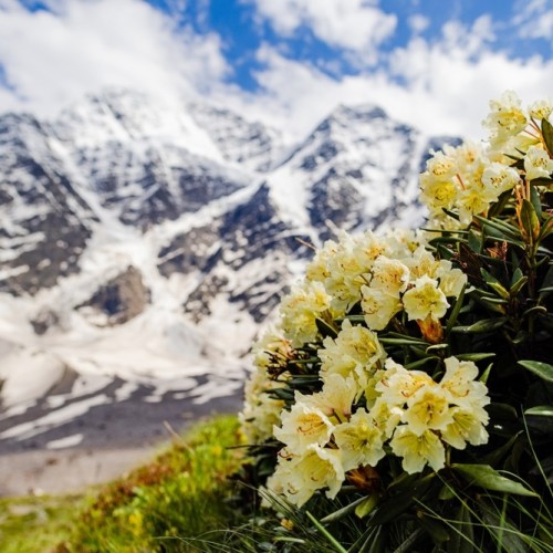 На поезде к жемчужинам Кавказа: города, горы, кухня, традиции 5 республик