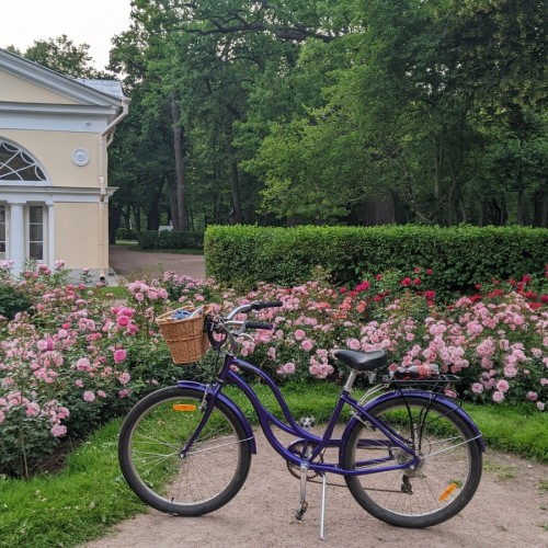 Неповторимое очарование Павловского парка: экскурсия на велосипеде