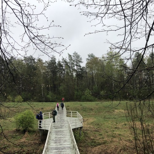 По тропам Торжокского района: пеший поход с рюкзаками