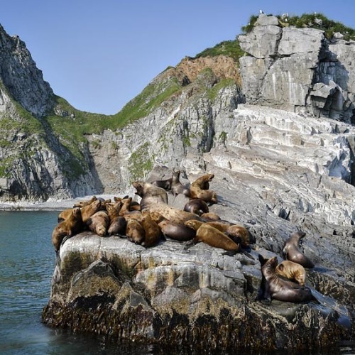 В объятиях Камчатки: лёгкое и комфортное знакомство