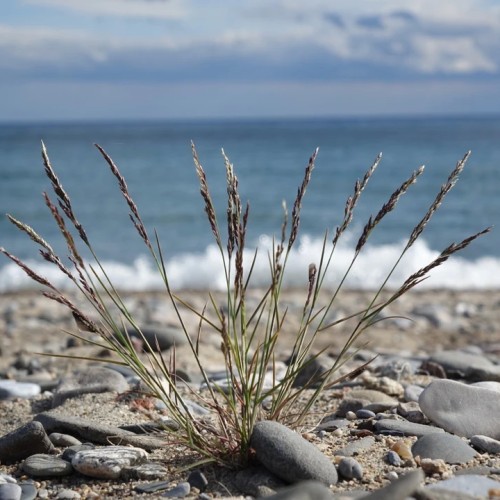 На выходные к Байкалу: Малое Море, Тажеранские степи и река Бугульдейка