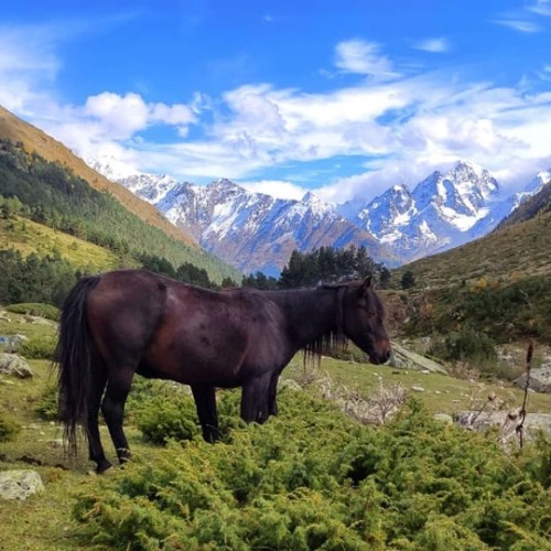 Лёгкий треккинг в Приэльбрусье с проживанием в гостинице