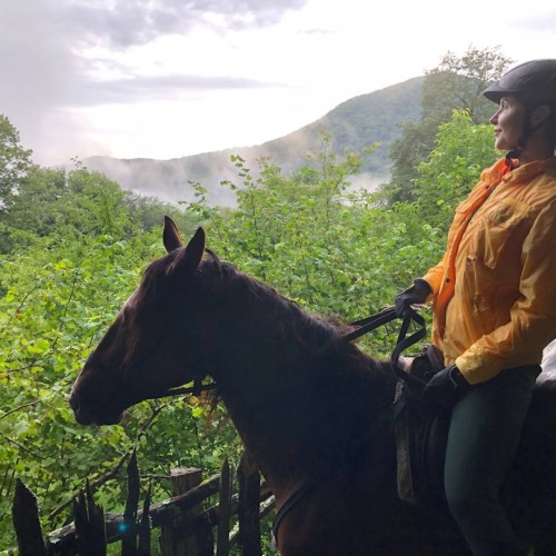 На лошадях по предгорьям Сочи: прогулки для новичков и опытных всадников