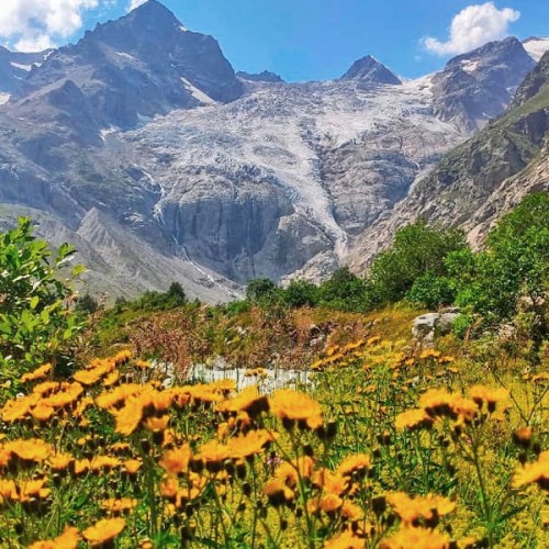 Семейный треккинг в Дигории с размещением в гостинице