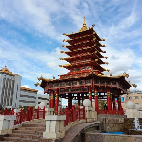 Цветущие тюльпаны и буддийские святыни: из Волгограда в Элисту