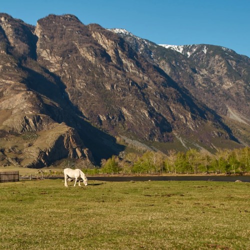 Бирюзовая Катунь и тропа предков — из Горно-Алтайска