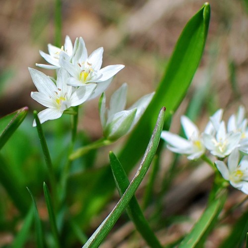 Поход по горам Архыза