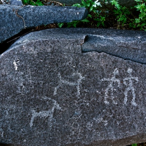Загадки Алтая: тур с погружением в культуру и исследованием тайн (всё включено)