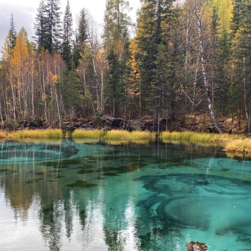 50 оттенков золота: путешествие по сентябрьскому Алтаю в мини-группе