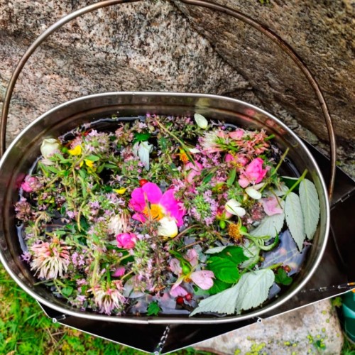 Семейный треккинг в Дигории с размещением в гостинице