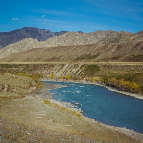 Нескучный Чуйский